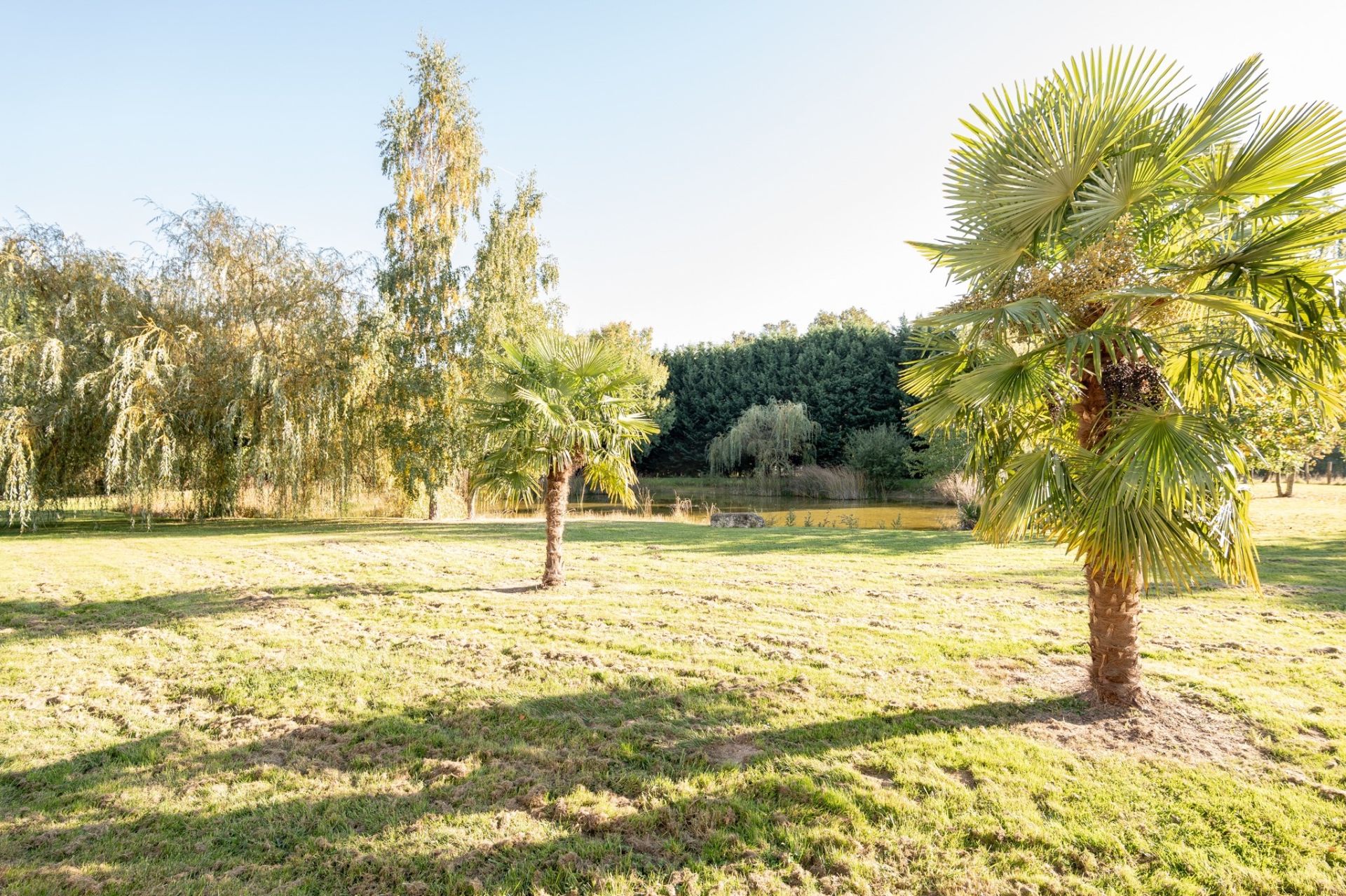 contemporary house 10 rooms for sale on LISLE (41100)