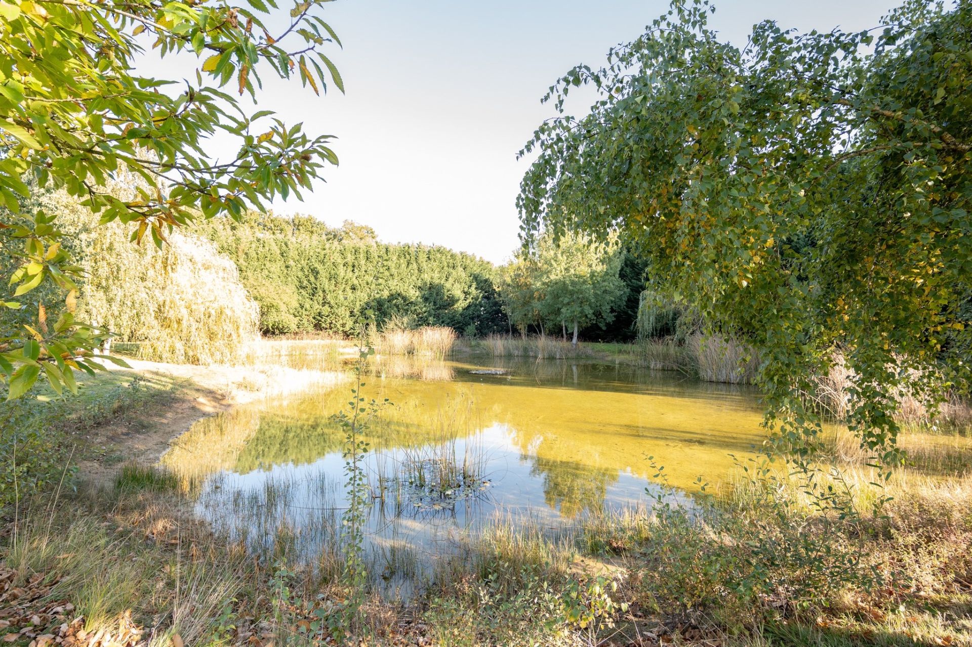 contemporary house 10 rooms for sale on LISLE (41100)