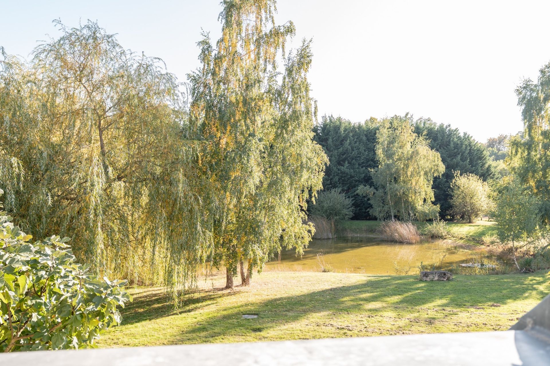 contemporary house 10 rooms for sale on LISLE (41100)