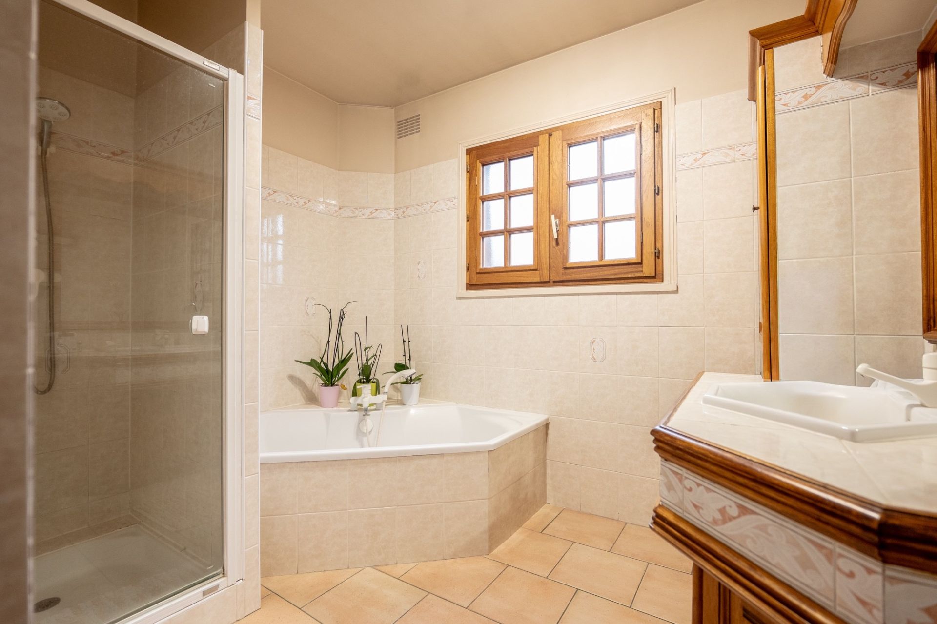 contemporary house 8 rooms for sale on CELLETTES (41120)