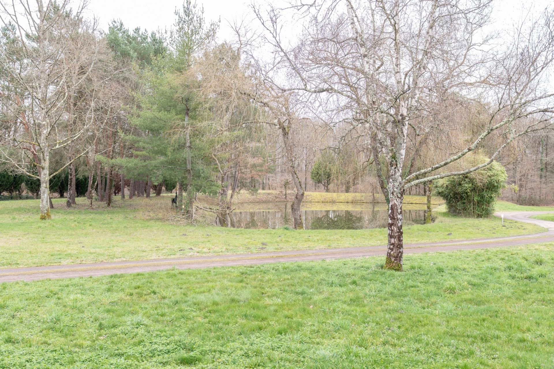 maison contemporaine 7 pièces en vente sur ROMORANTIN LANTHENAY (41200)