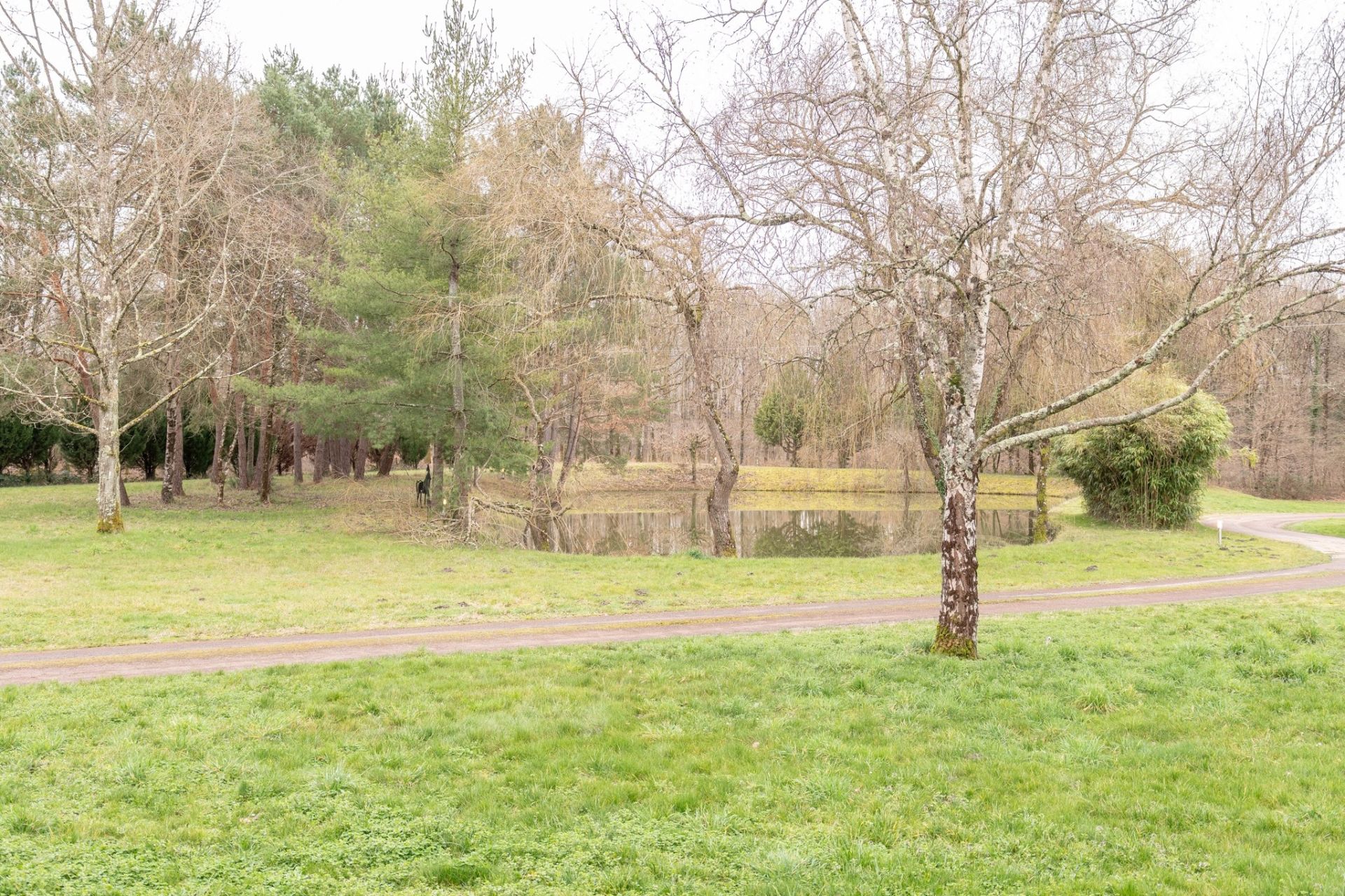 maison contemporaine 7 pièces en vente sur ROMORANTIN LANTHENAY (41200)