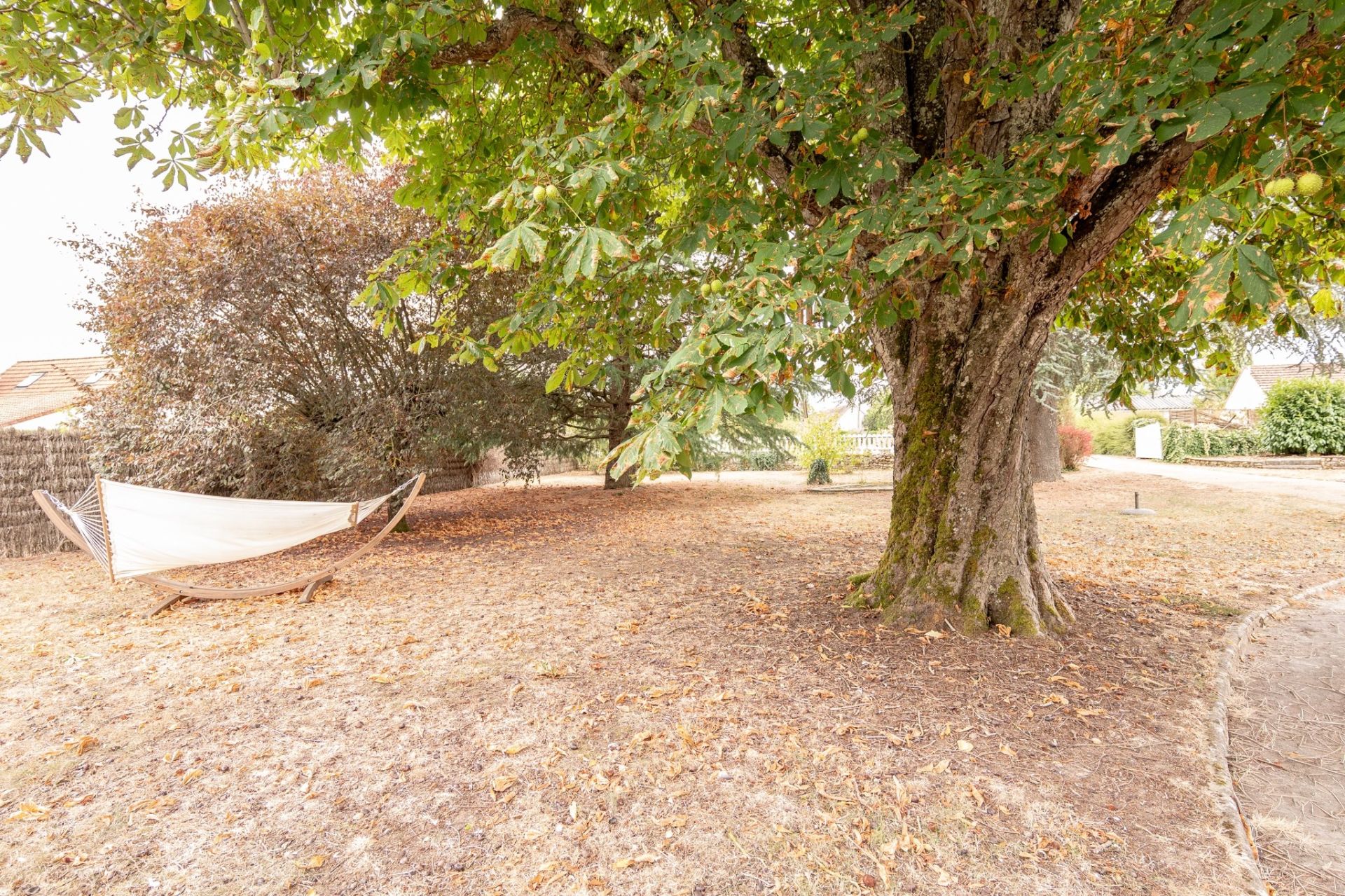 farm complex 6 rooms for sale on LE CONTROIS EN SOLOGNE (41400)