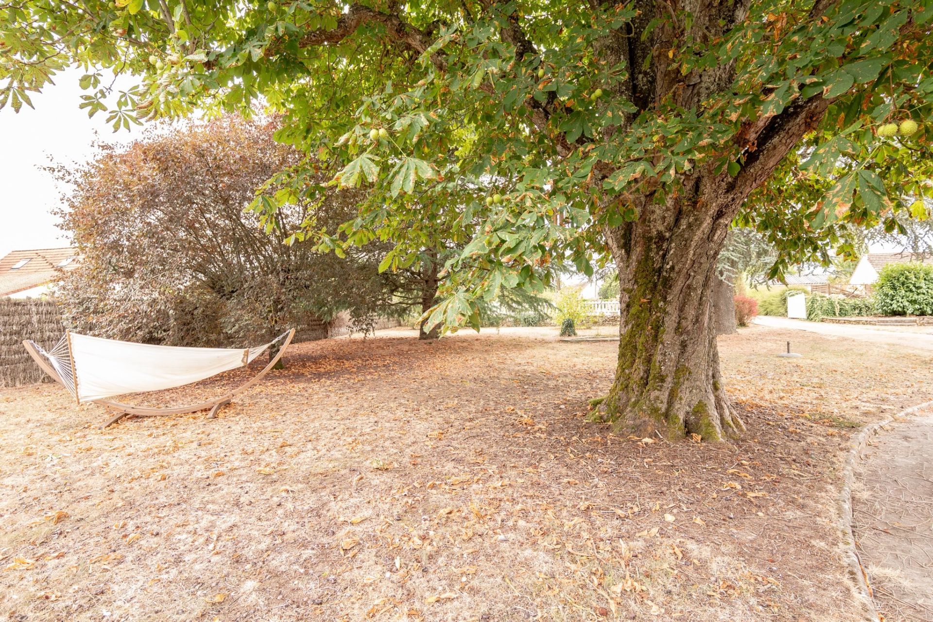 farm complex 6 rooms for sale on LE CONTROIS EN SOLOGNE (41400)