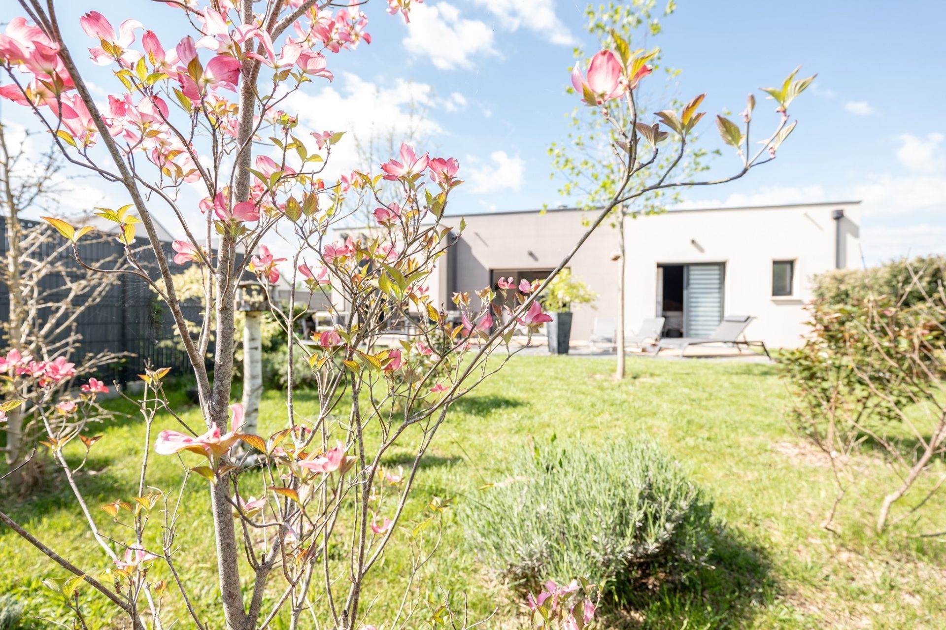 architect's house 4 rooms for sale on ST GERVAIS LA FORET (41350)