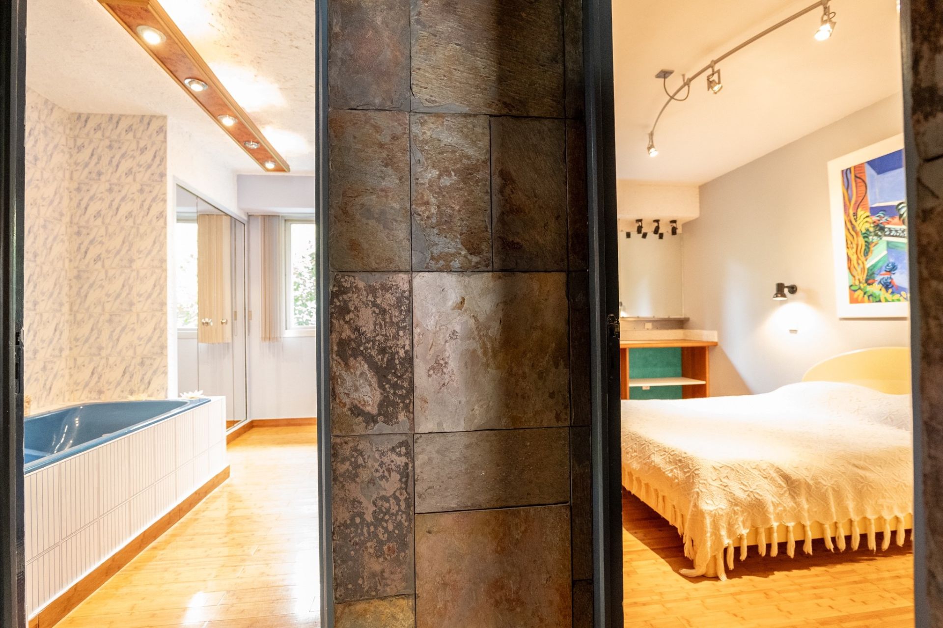 maison d'architecte 8 pièces en vente sur ST OUEN (41100)