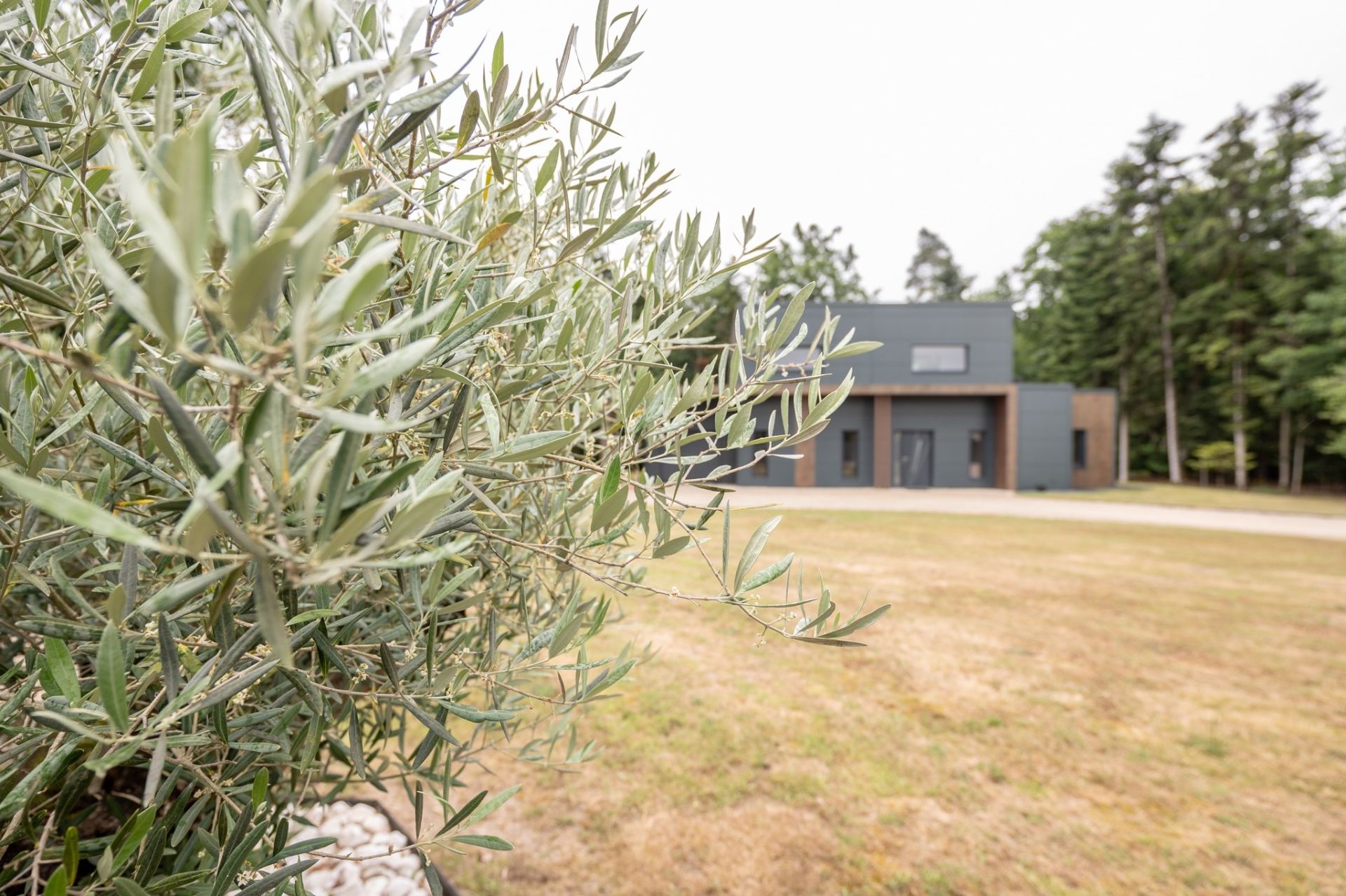 maison d'architecte 5 pièces en vente sur CROUY SUR COSSON (41220)