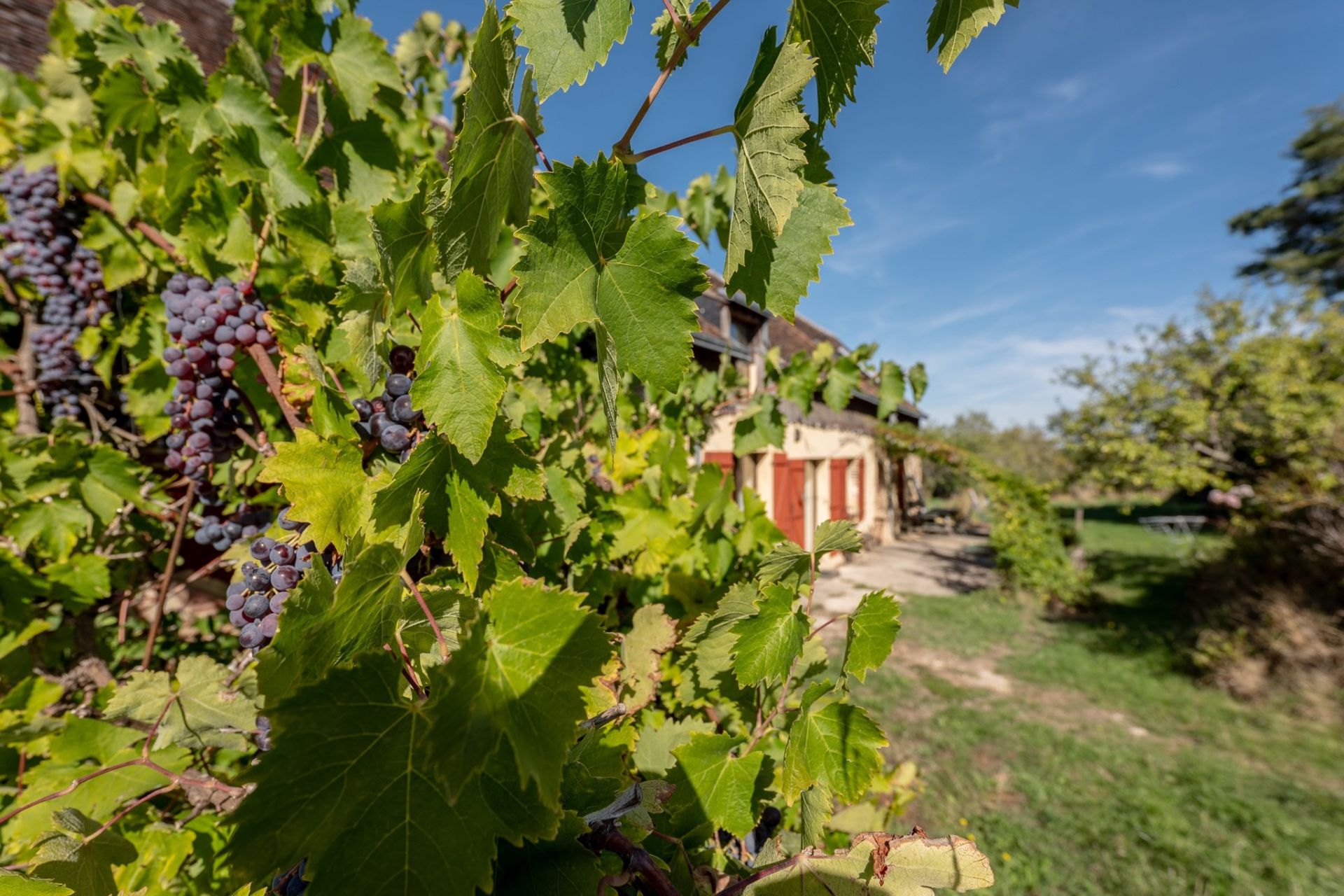 longère 8 pièces en vente sur BOURSAY (41270)