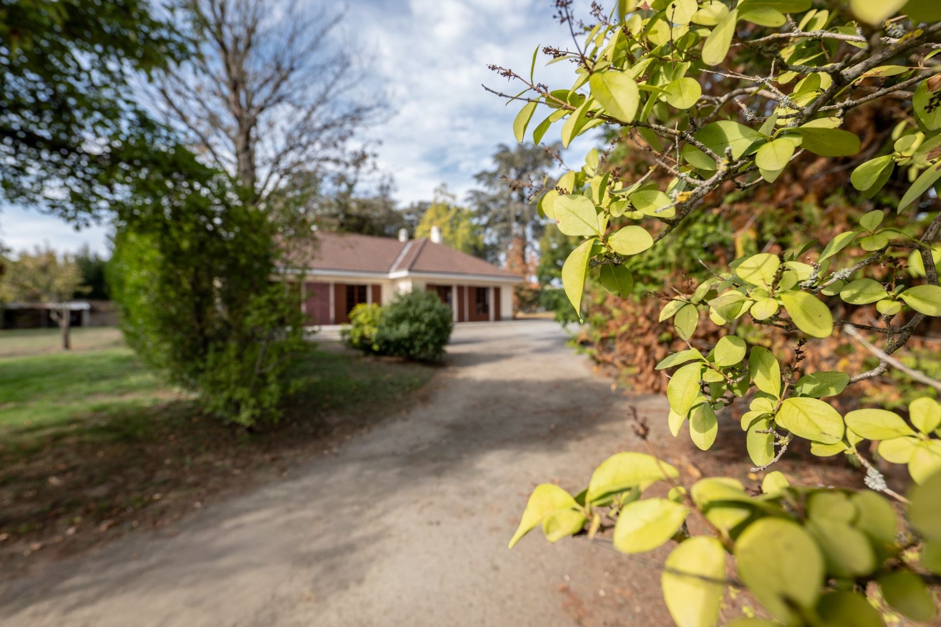traditional house 6 rooms for sale on LE CELLIER (44850)