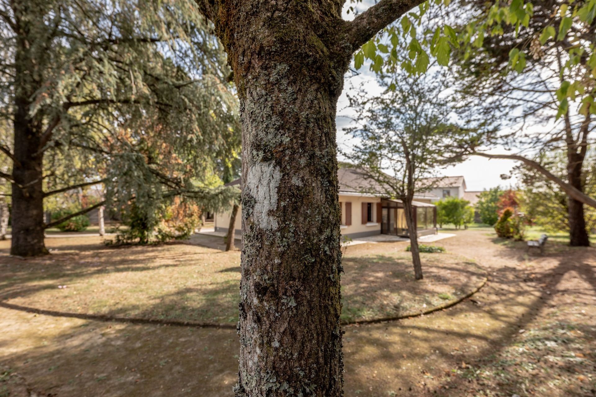 traditional house 6 rooms for sale on LE CELLIER (44850)