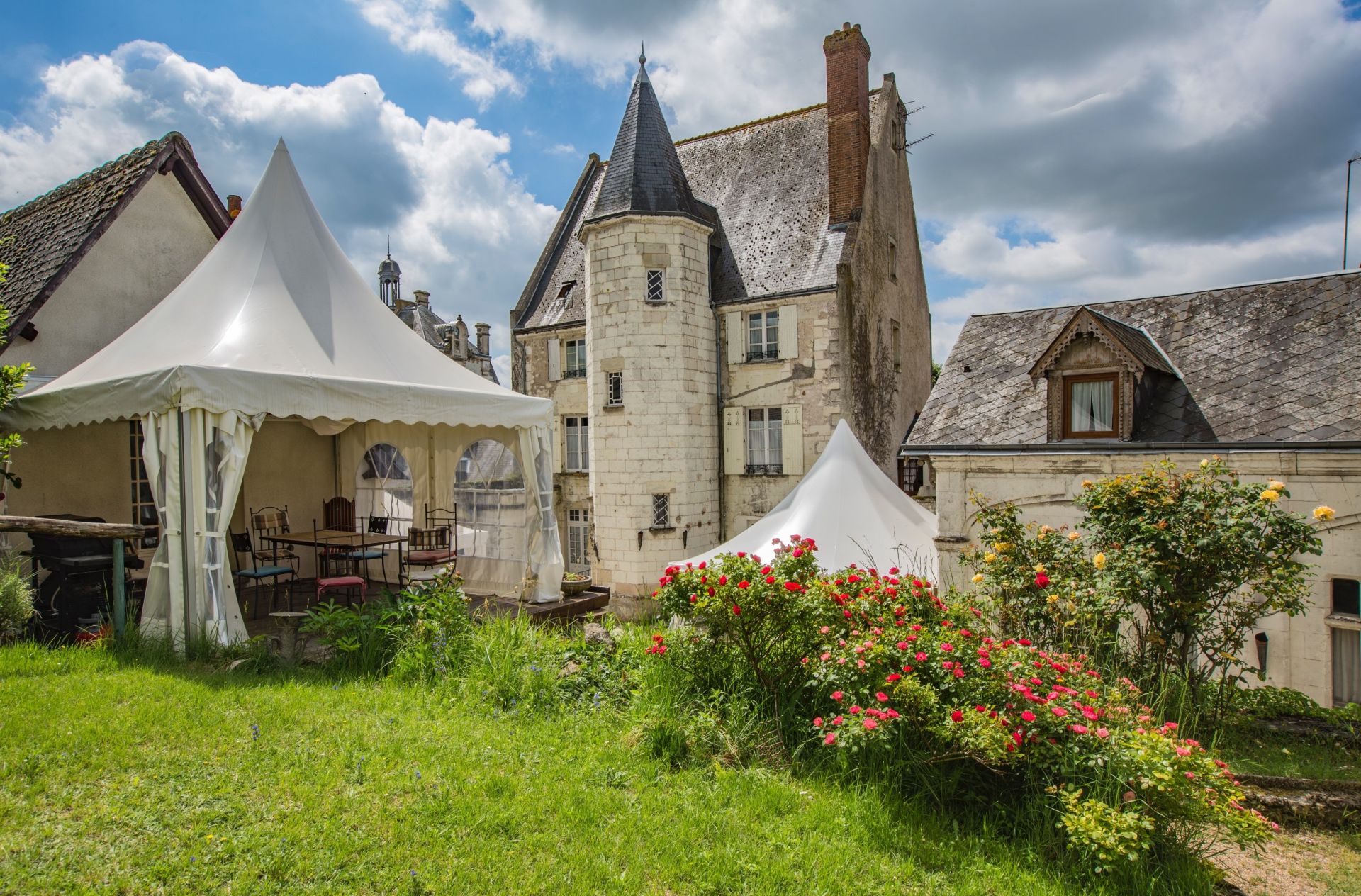 manoir 16 pièces en vente sur MONTRICHARD VAL DE CHER (41400)
