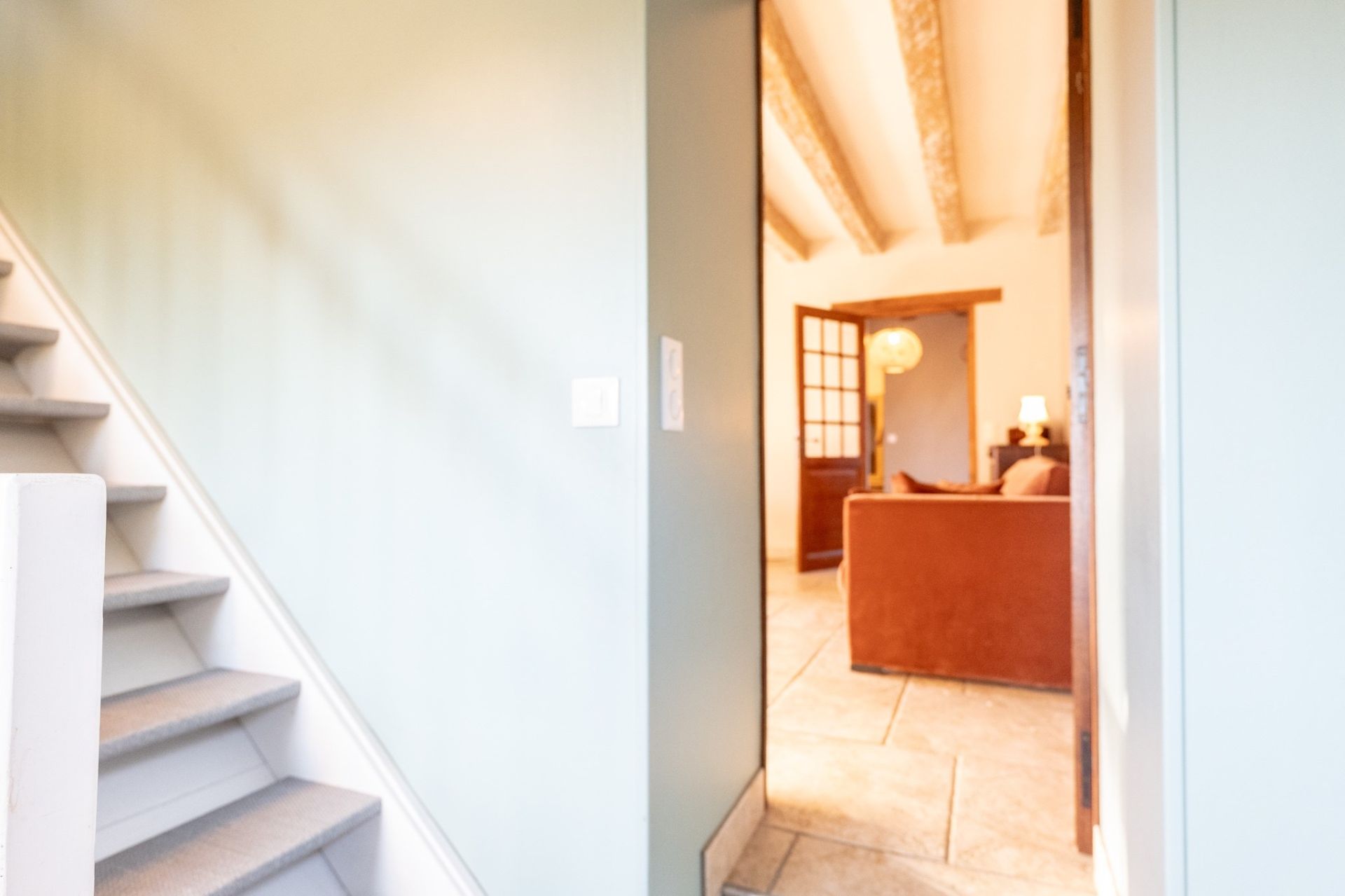 mansion 10 rooms for sale on TROO (41800)