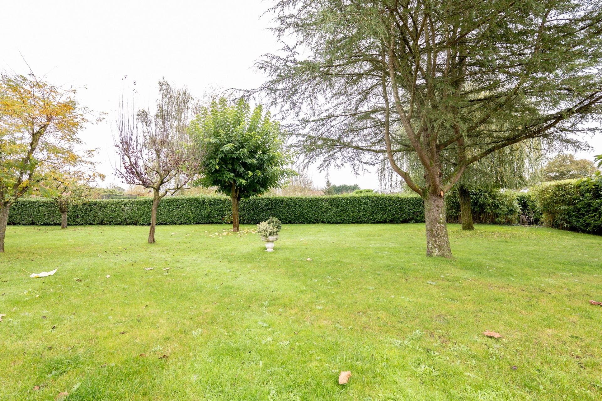 house 1 room for sale on FRESNES (41700)