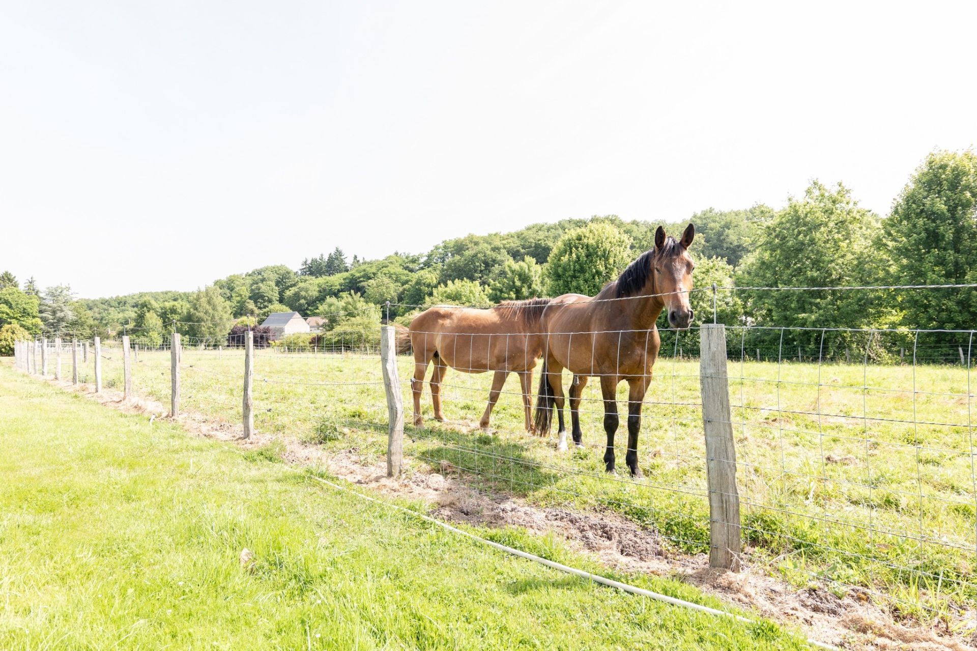 mill 8 rooms for sale on BLERE (37150)