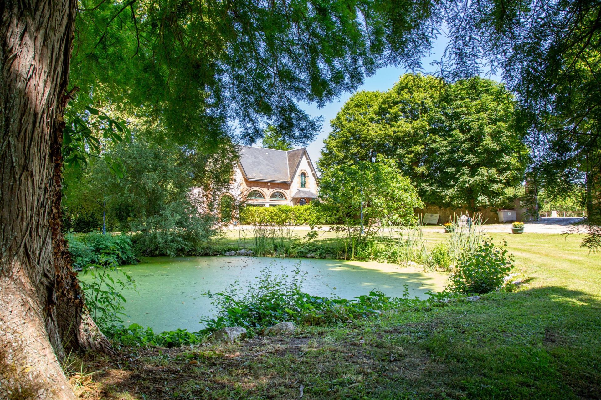manoir 16 pièces en vente sur LE CONTROIS EN SOLOGNE (41700)