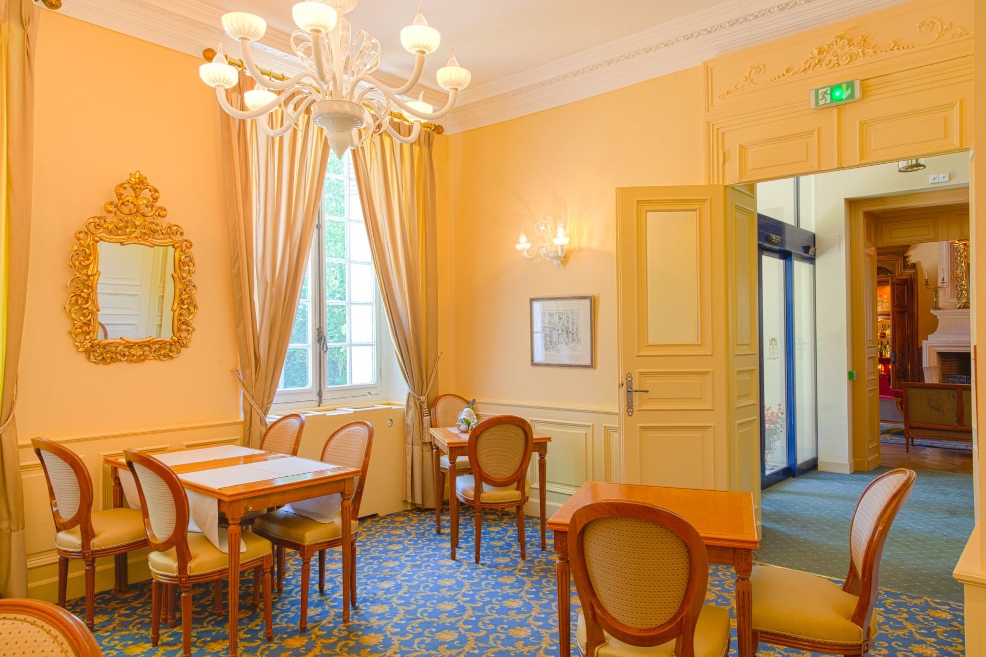 manoir 16 pièces en vente sur LE CONTROIS EN SOLOGNE (41700)