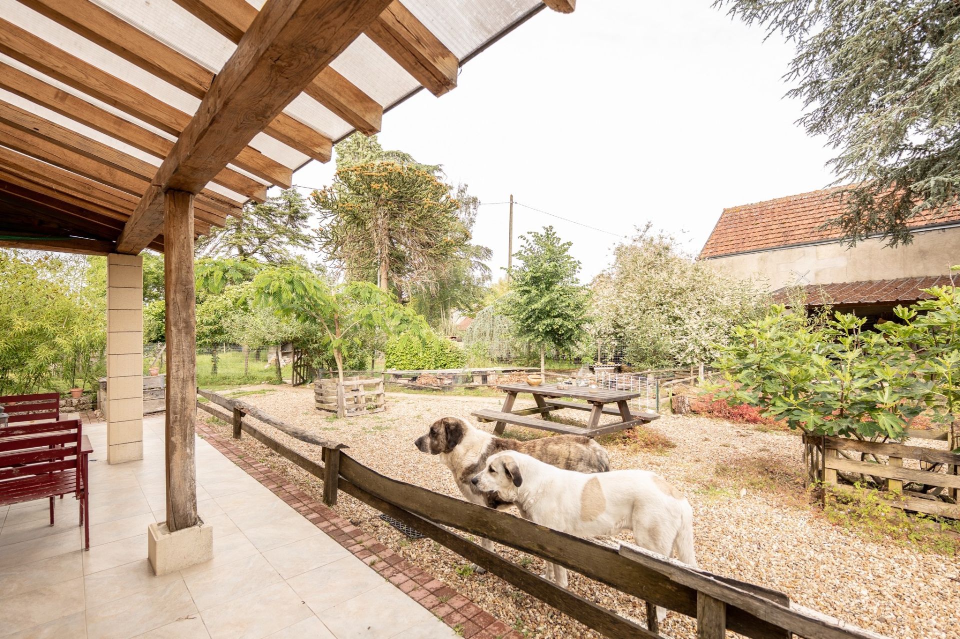 long house 7 rooms for sale on CHOUSSY (41700)