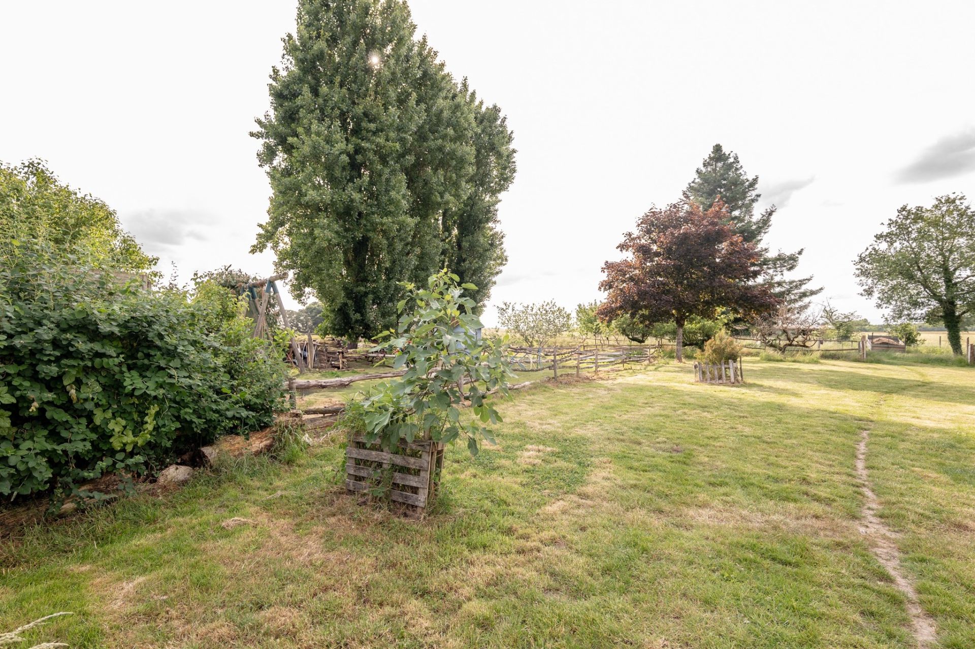 long house 7 rooms for sale on CHOUSSY (41700)