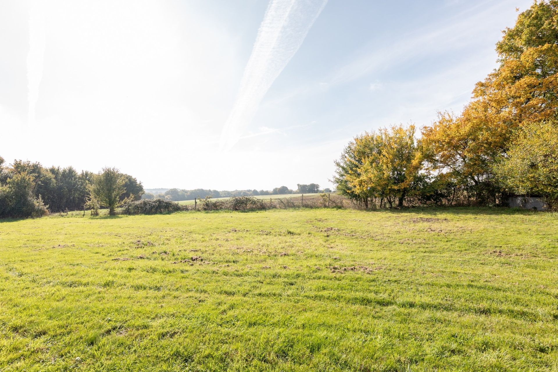 farm complex 6 rooms for sale on CHOUE (41170)