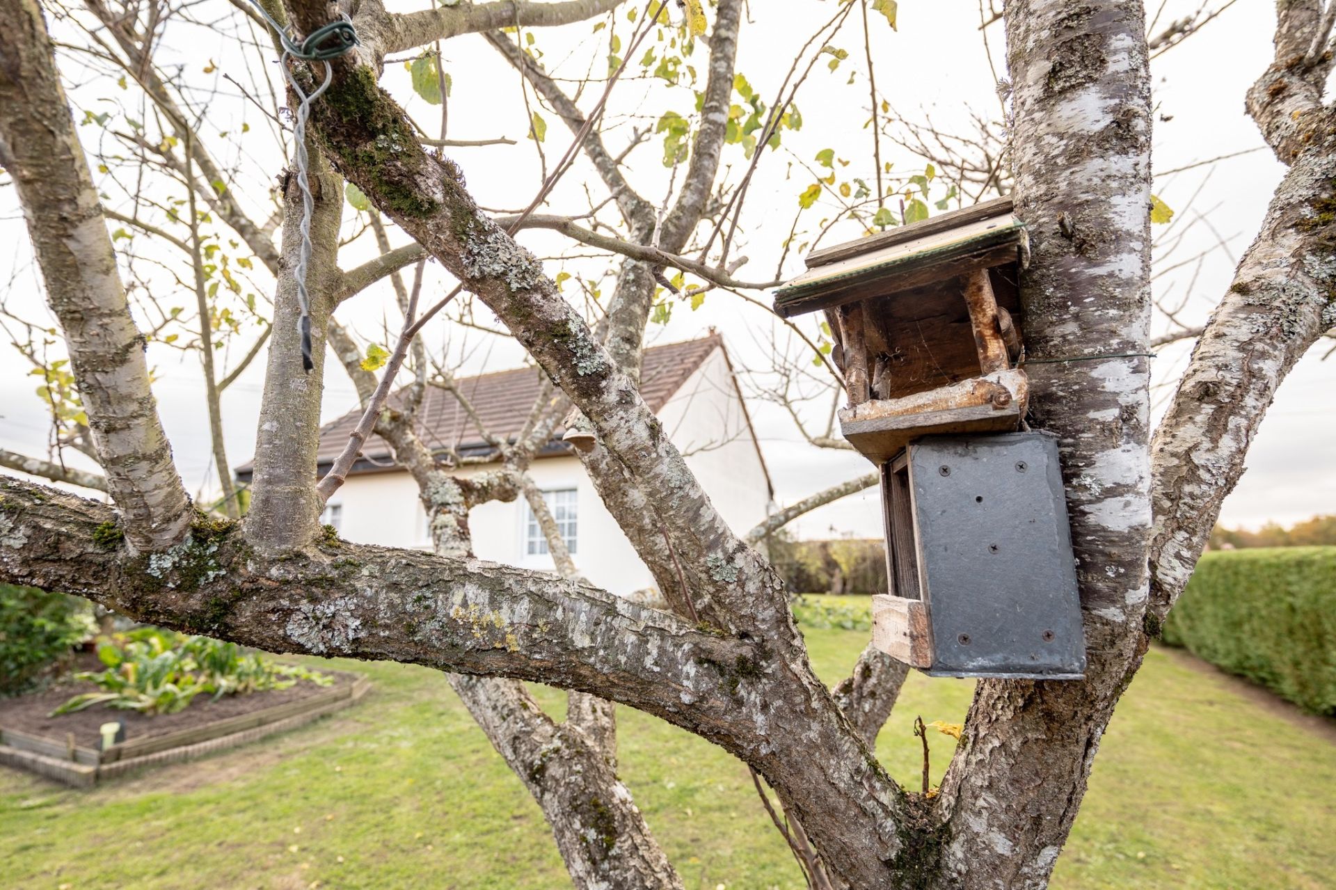 contemporary house 4 rooms for sale on MEUSNES (41130)