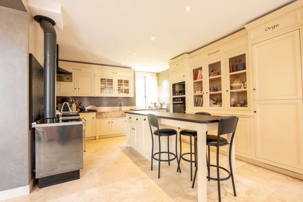 maison bourgeoise 11 pièces en vente sur BLERE (37150) - Plus de details