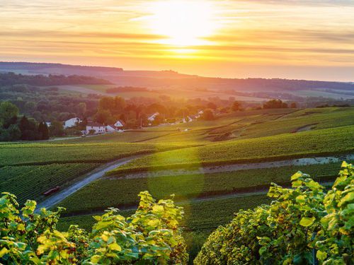 Agence immobilière de prestige charme luxe à reims soissons épernay propriétés champagne vignoble cathédrale appartement maison biens caves cuvée spéciale