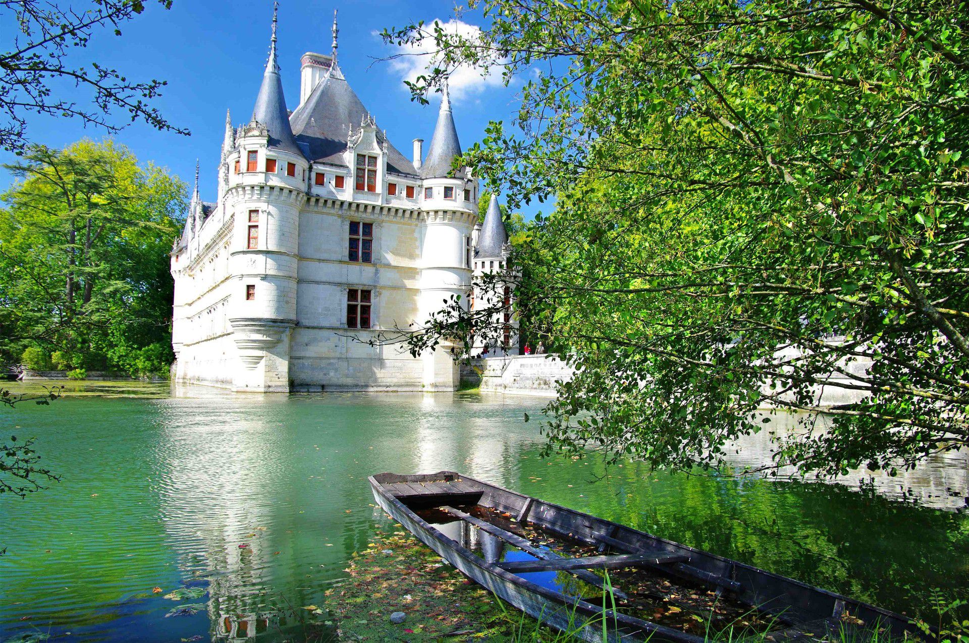 A Royal Unique Place : The Loire Valley