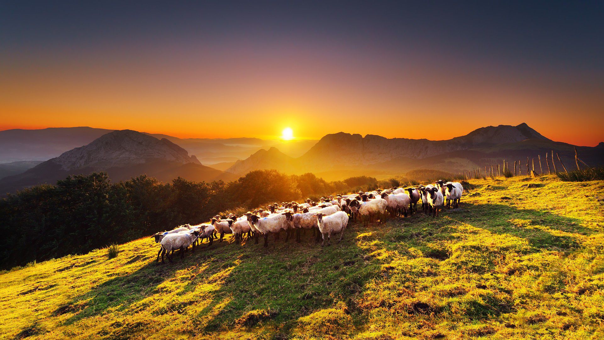 An authentic Unique Place : the Basque Country