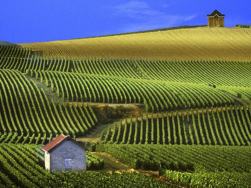 A unique sparkling place : Reims-Soissons